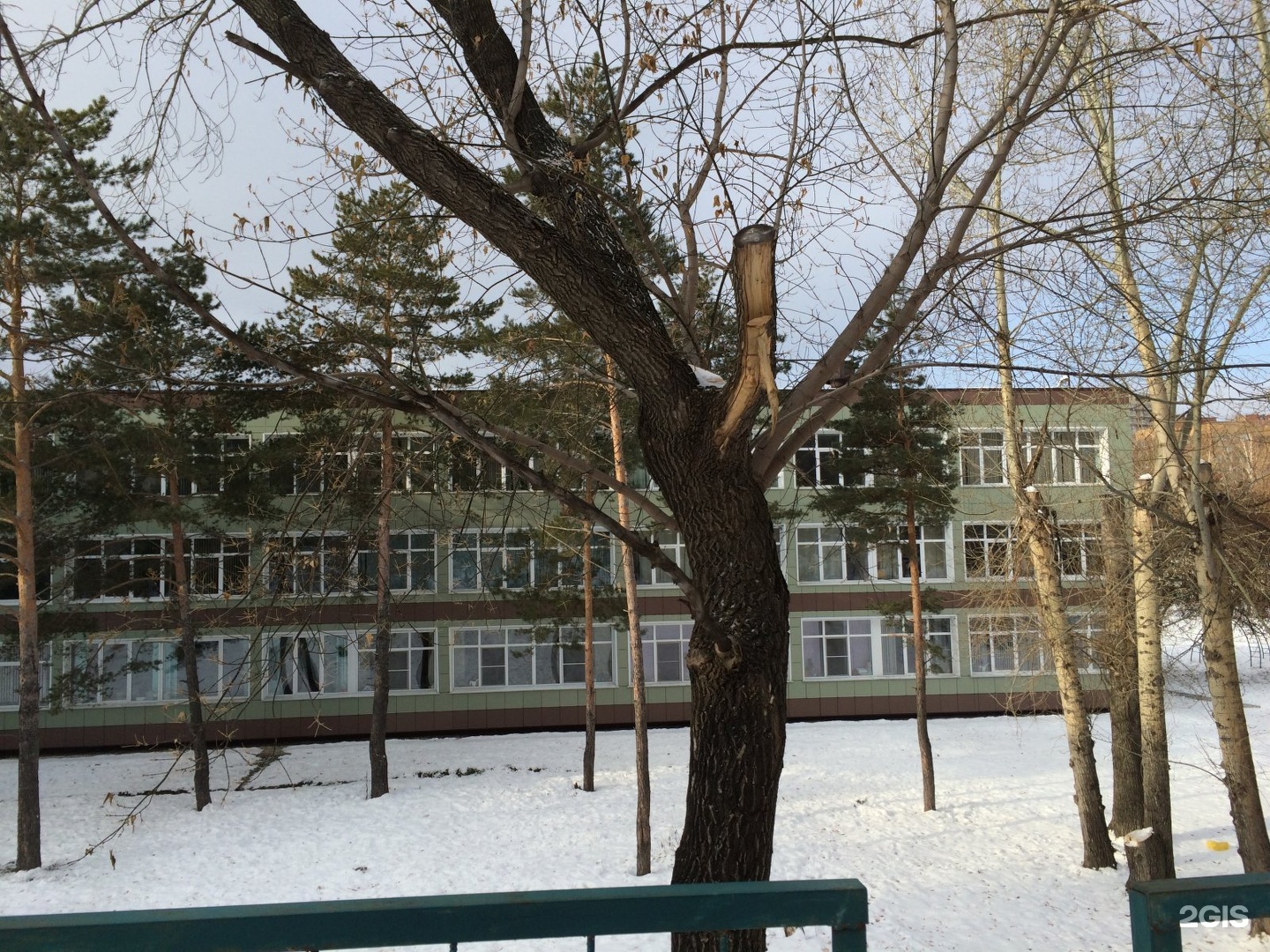 Школа 11 Новосибирск Богаткова. Школа 187 новосибирск