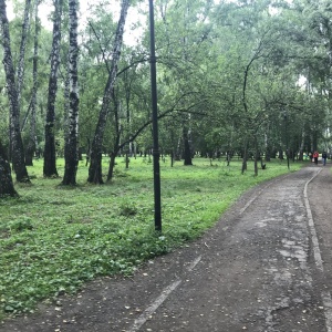 Фото от владельца Берёзовая роща, парк культуры и отдыха