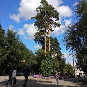 Фото от владельца Новосибирский зоопарк им. Р.А.Шило