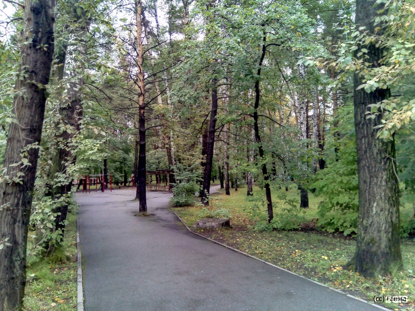 Парк Первомайский Новосибирск Первомайский район