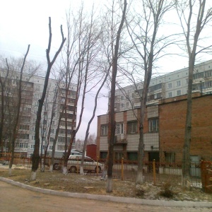 Фото от владельца Сибирский цирюльник, фирма по спилу деревьев и уборке снега
