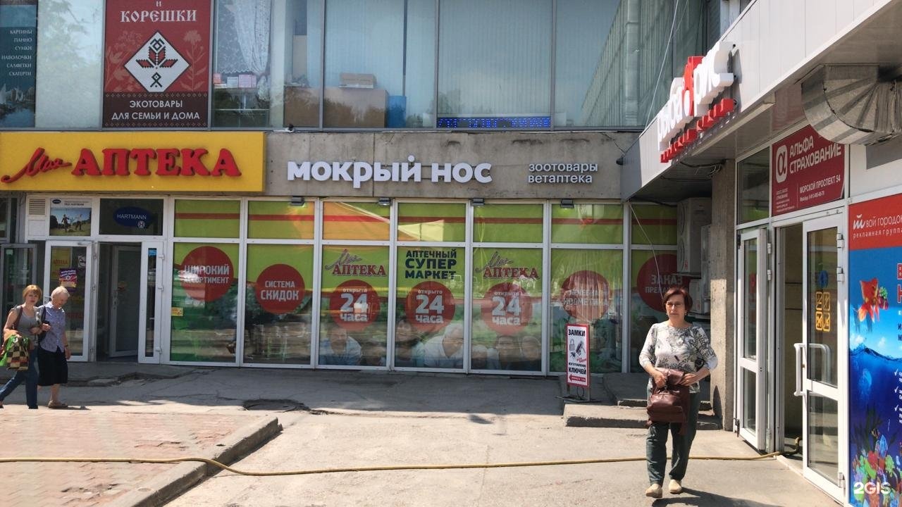 Мокрый нос кронштадт. Центра “мокрый нос”. Мокрый нос Братск. Мокрый нос Обнинск.