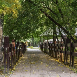 Фото от владельца Берёзовая роща, парк культуры и отдыха