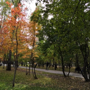 Фото от владельца Центральный парк культуры и отдыха