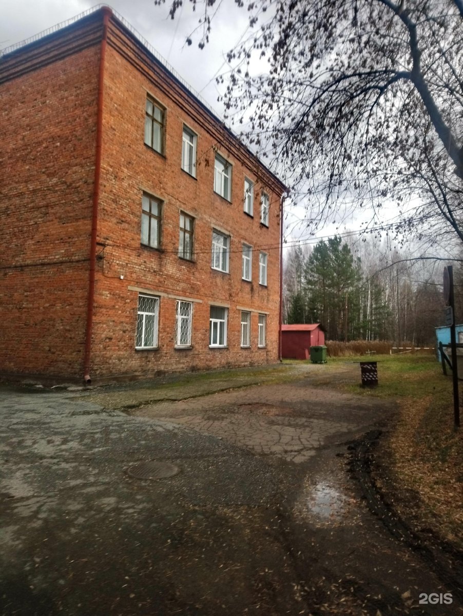 институт леса имени сукачева красноярск. н сукачева со ран. институт лесоведения ран логотип. лесная наука. институт леса им в.