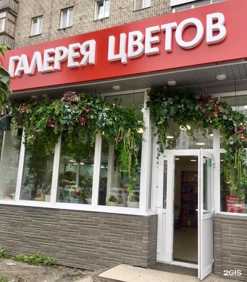 Галерея Цветов Фото