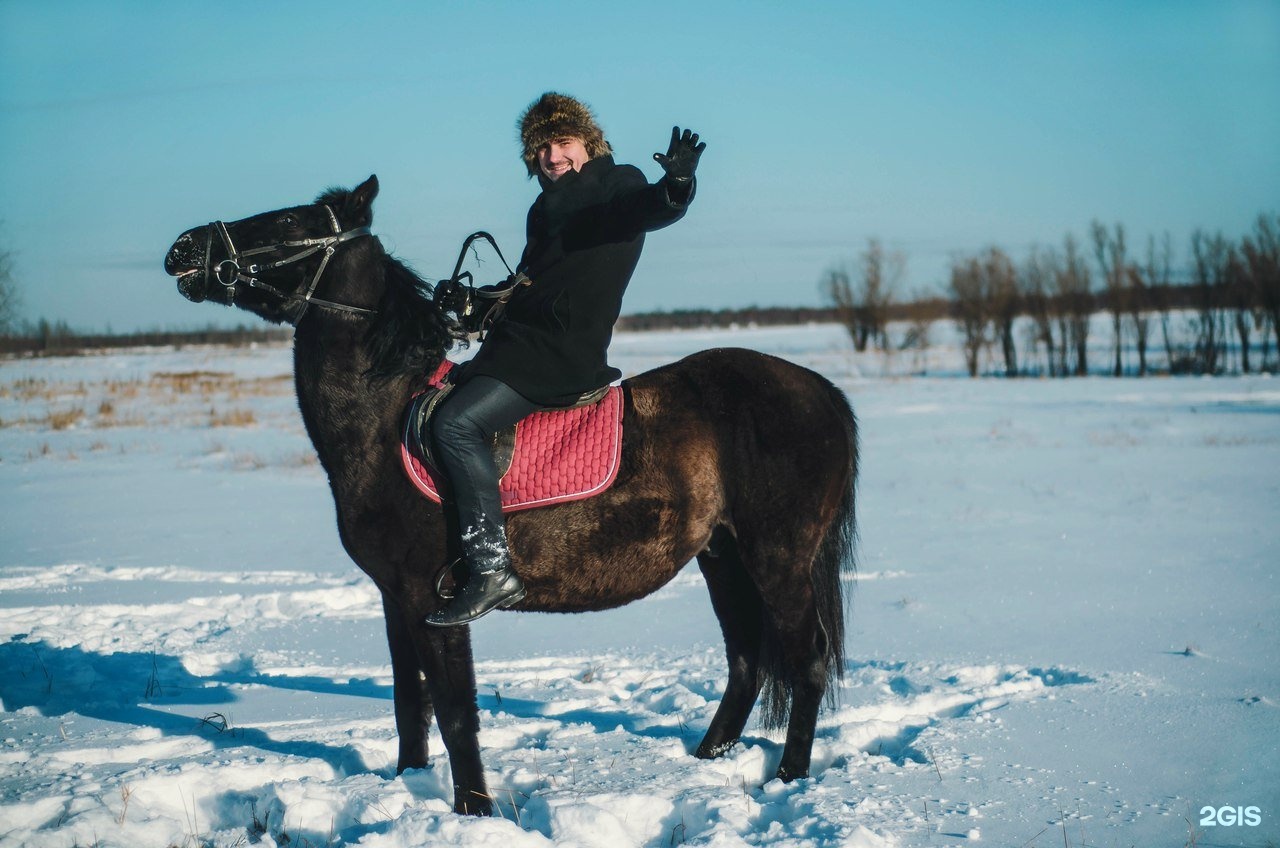 Пенза нижневартовск 102. Иппоцентр Уфа.