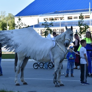 Фото от владельца ЛЕГЕНДА, конный клуб