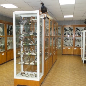 Фото от владельца Зоологический музей, ТюмГУ