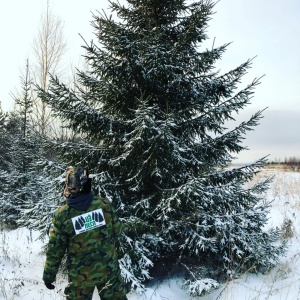 Фото от владельца Из леса, служба доставки живых елок