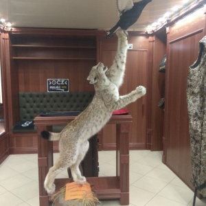 Фото от владельца Русская охота, магазин товаров для охоты и рыбалки