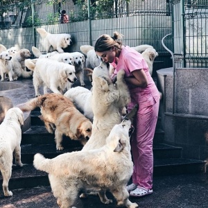 Фото от владельца Клуб здоровых животных, ветеринарная клиника