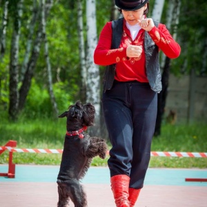 Фото от владельца Анкур, спортивно-кинологический центр