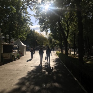 Фото от владельца Центральный парк развлечений им. М. Горького