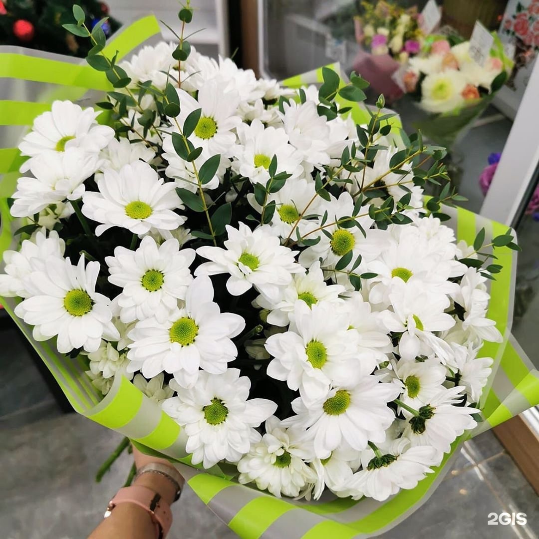 Купить Цветы В Салехарде С Доставкой Недорого