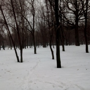 Фото от владельца Воронежские озера, парк