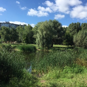 Фото от владельца Воронежские озера, парк