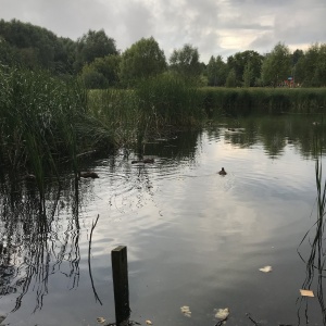 Фото от владельца Воронежские озера, парк