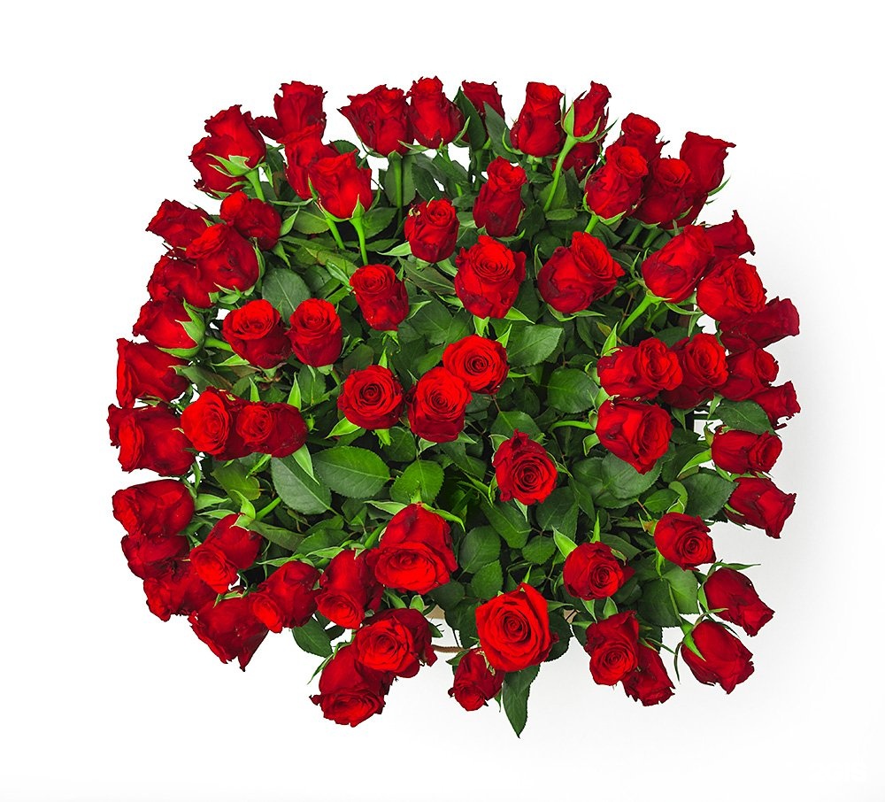 Sflowers доставка цветов. Sflowers. Цветочная компания в Нижнем Новгороде. 500x500 sflower.