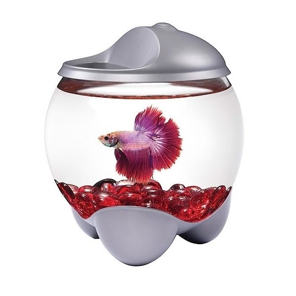 Аквариум для петушка. Аквариум Tetra Betta Bowl. Аквариум Tetra Betta Ring 1,8л. Аквариум Tetra Betta Bubble. Аквариум Tetra Betta Bubble 1,8 л.