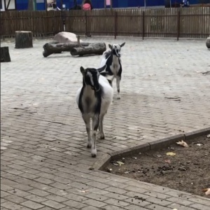 Фото от владельца Парк культуры и отдыха им. 1 мая