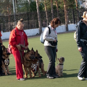 Фото от владельца Областной центр спортивно-служебного собаководства