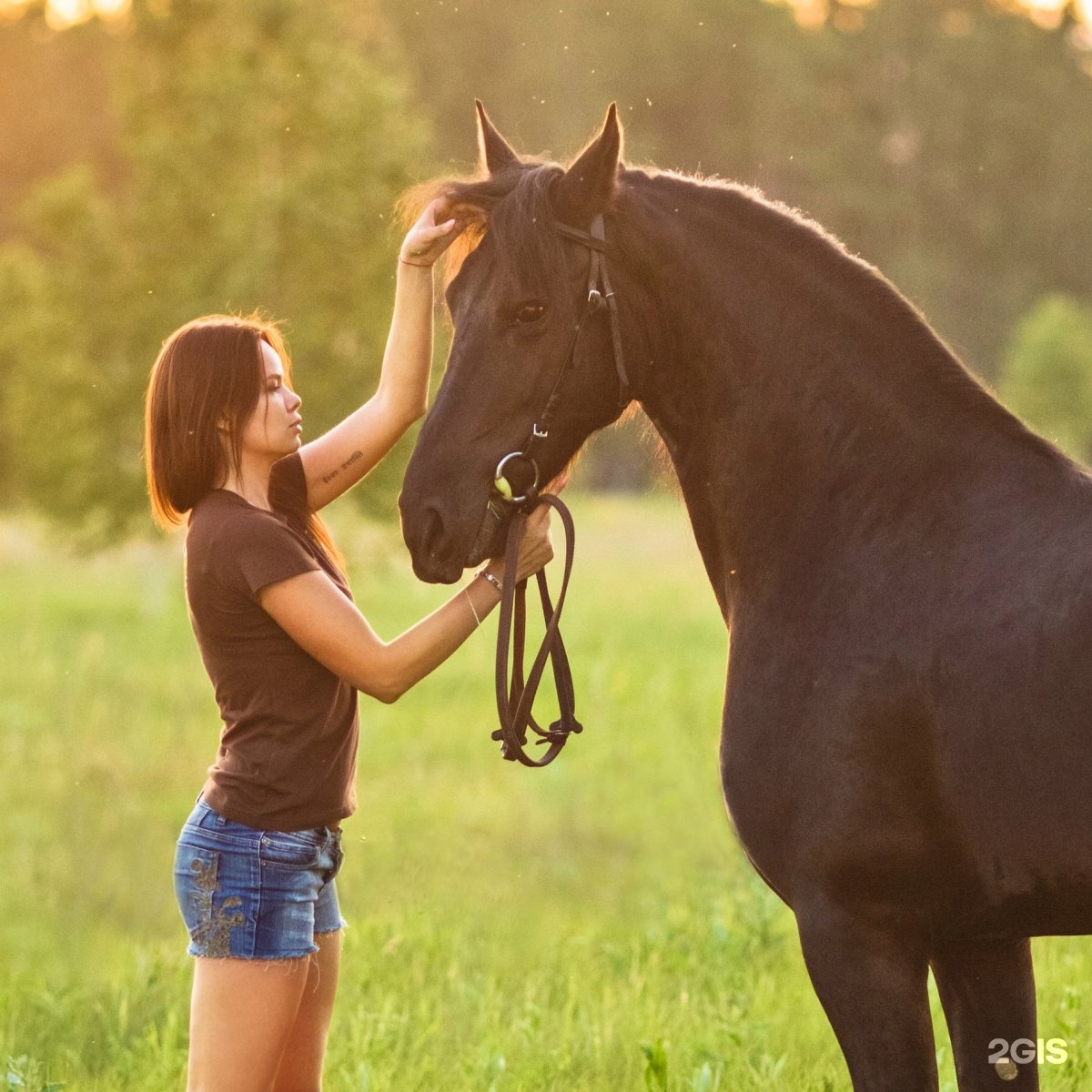 Под ним лошадь добрая. Фото лошади и добро. Лошадь в пятницу. Добрая лошадь. Добрая лошадь.