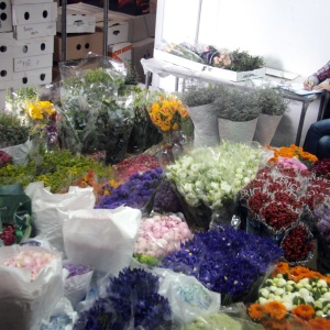 Фото от владельца Крокус, центр оптовой продажи цветов