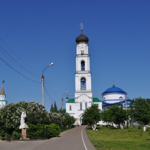 Фото от владельца Колокольня с надвратной церковью в честь Архистратига Божия Михаила