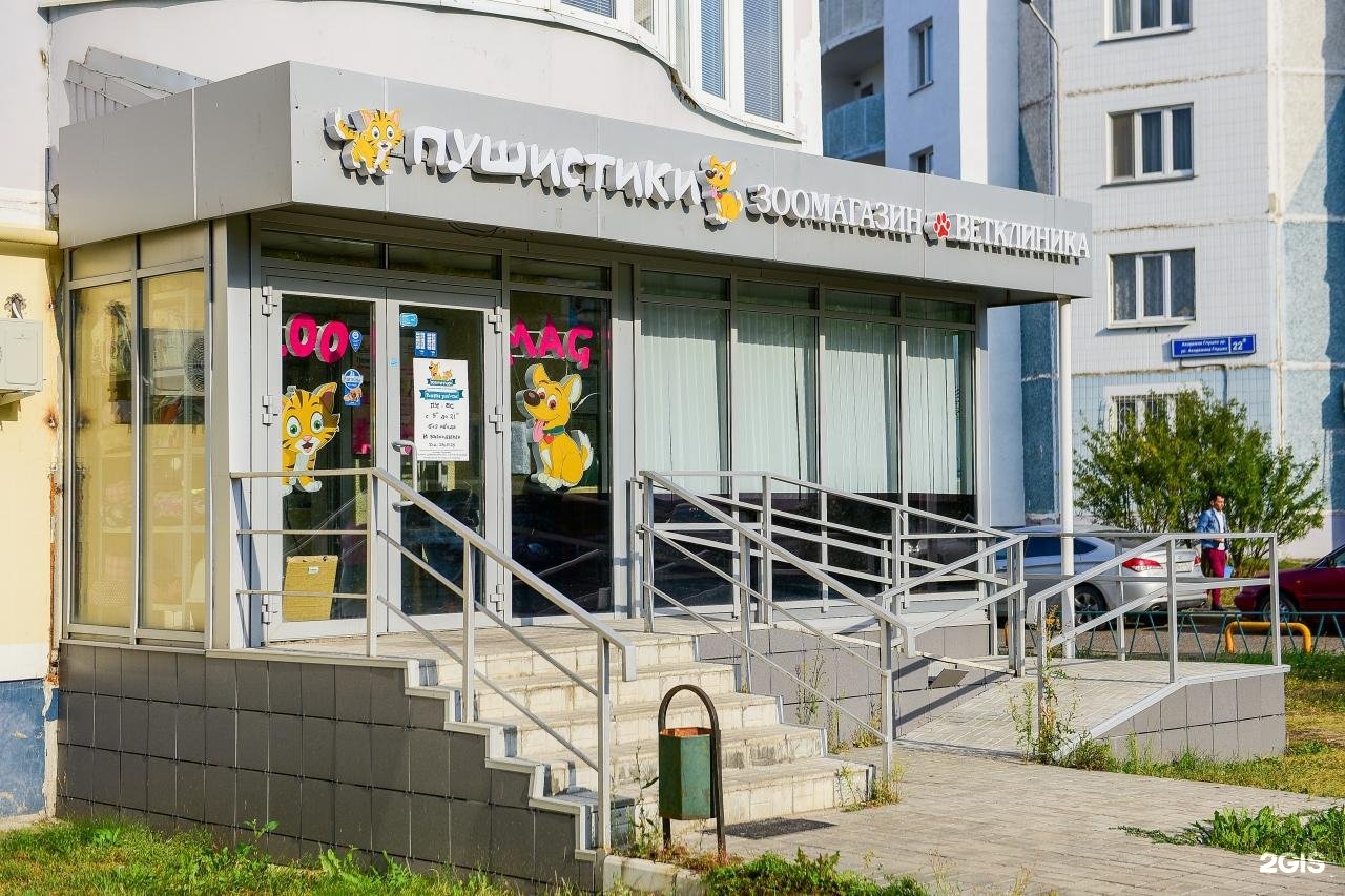 пушистики ветклиника