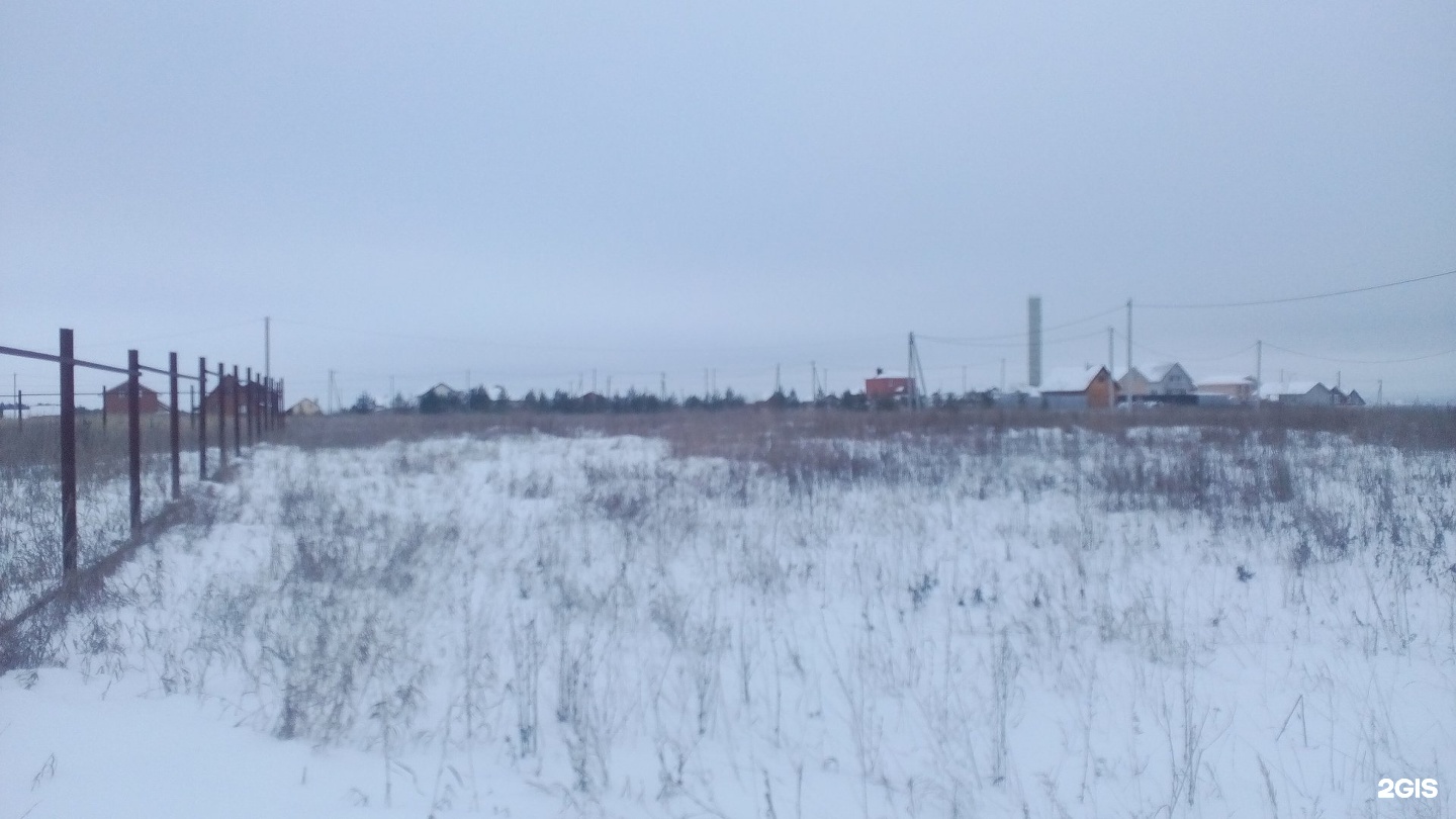 тсн раздолье