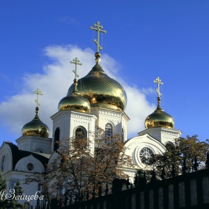 Фото от владельца Храм Александра Невского