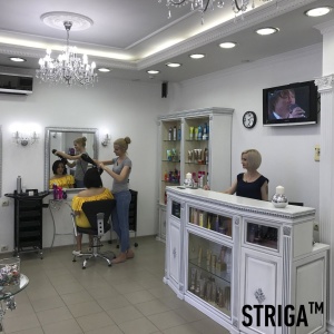 Фото от владельца STRIGA Salon & Academy