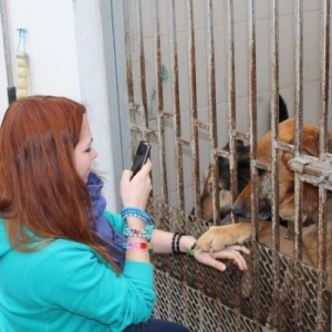 Фото от владельца Краснодог, приют для пострадавших животных