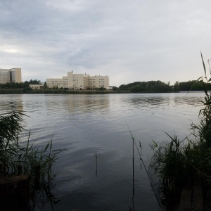 Фото от владельца Дружба, парк культуры и отдыха