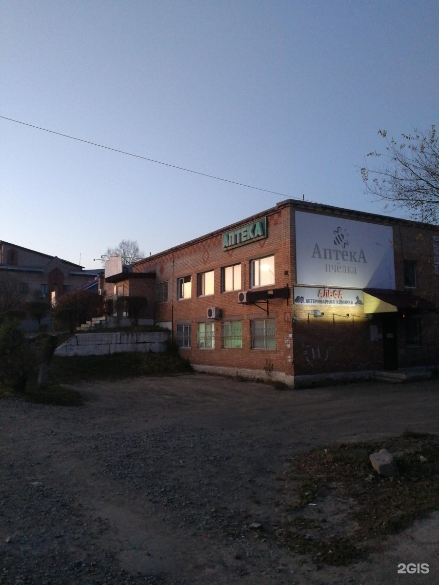 Альфа пушкина. Альфа вет Калачинск. Альфа-вет Губкин. Отзывы Альфа-вет Губкин