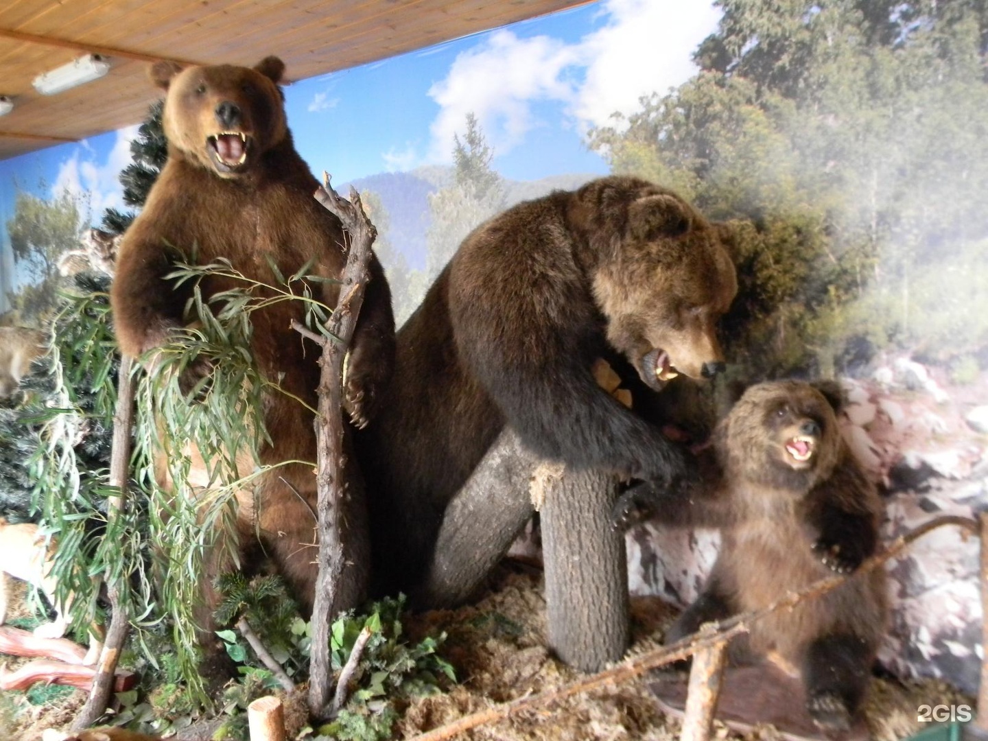 три медведя база отдыха