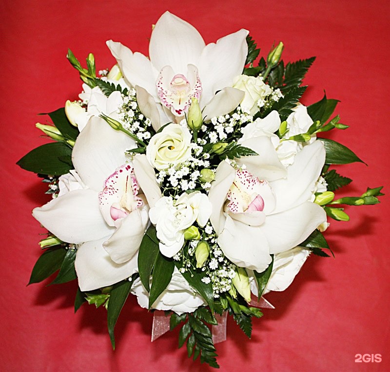 цветы оптторг
