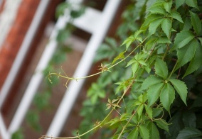 Отель Южный в Ярославской области