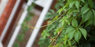 Ярославль: Отель Южный