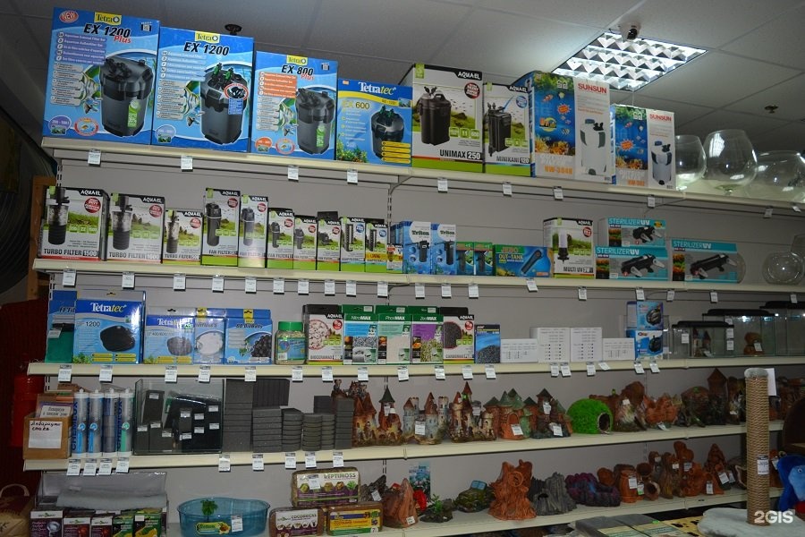 зоомагазин набережные. зоомагазины в набережных челнах на зяби. ветна набережные челны. аквадом зоомагазин. зоомагазин набережные.
