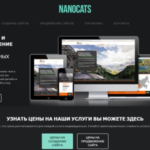 Фото от владельца Nanocats, веб-студия