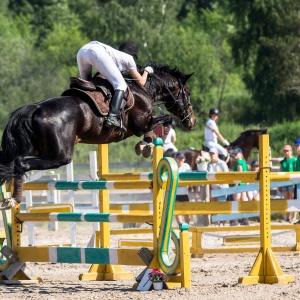 Фото от владельца Жокей, конноспортивный клуб