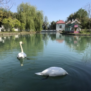 Фото от владельца Южные культуры, парк