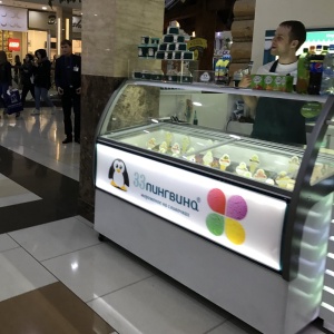 Фото от владельца 33 пингвина, сеть кафе-мороженого