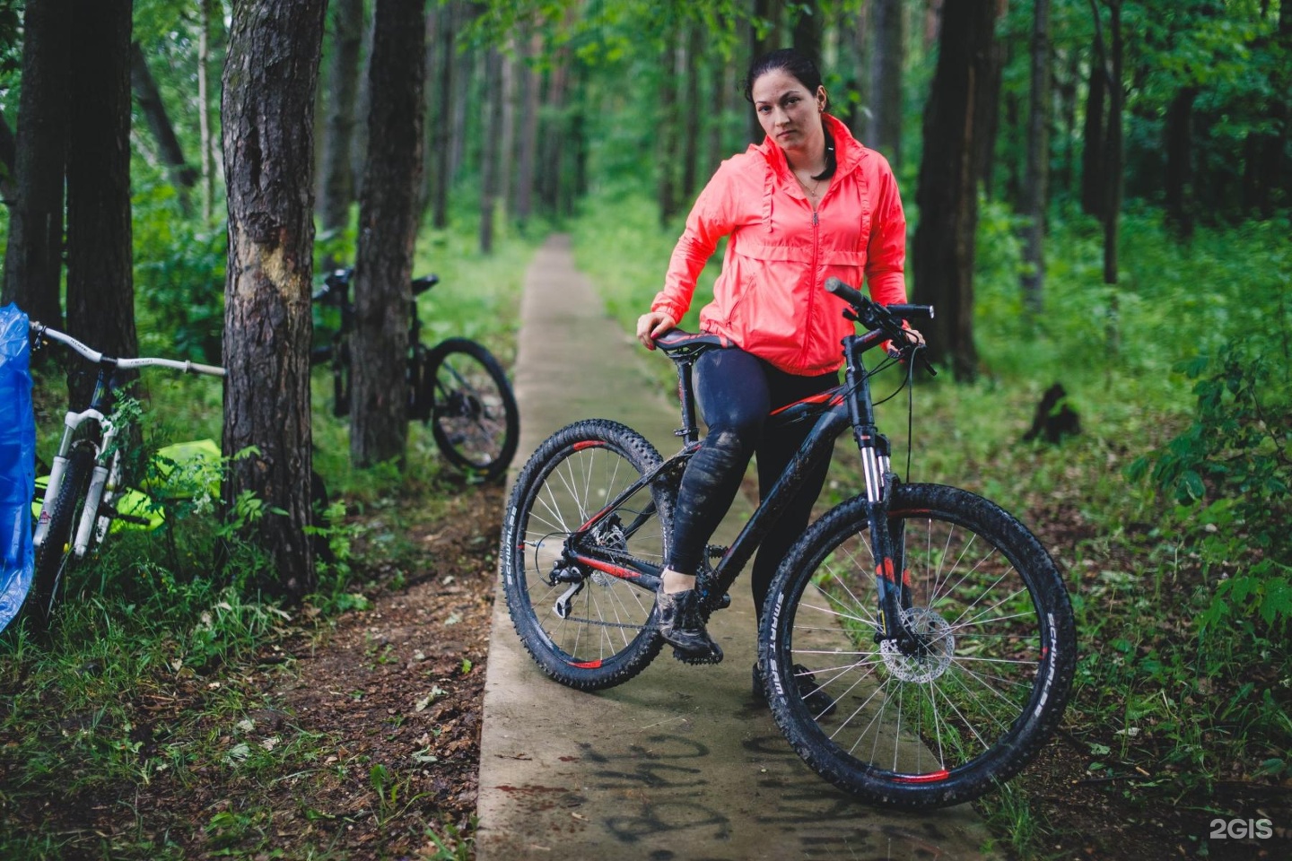 Вело подмосковье. Goldenbike Москва. Bicycle Russia. Bike from Russia. Ремонт велосипедов в Реутове.