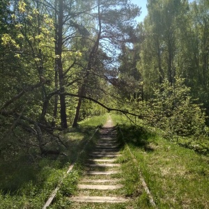 Фото от владельца Лосиный остров, национальный парк