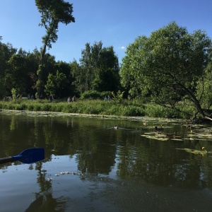 Фото от владельца Кузьминки, парк культуры и отдыха