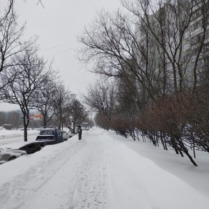 Фото от владельца Московский государственный университет им. М.В. Ломоносова