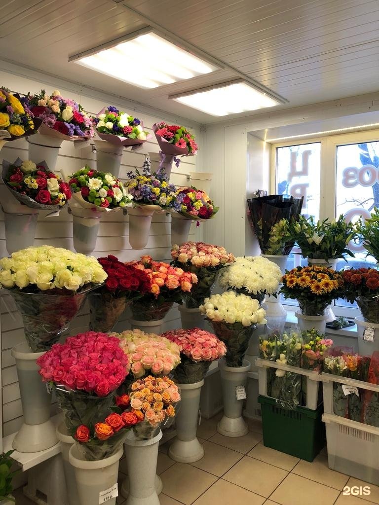 Цветочный магазин баз. Магазин цветов. Цветы в магазине. Цветы в цветочном магазине. Оптовый цветочный магазин.